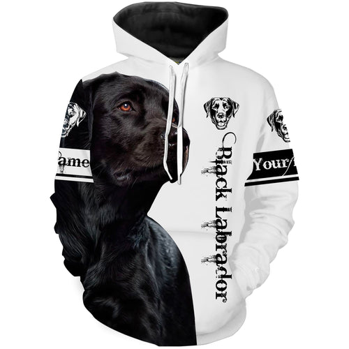 Black Lab 3D All Over Printed Shirts, Hoodie, T-shirt Labrador Retriever Dog Gifts for Lab Lovers FSD2066
